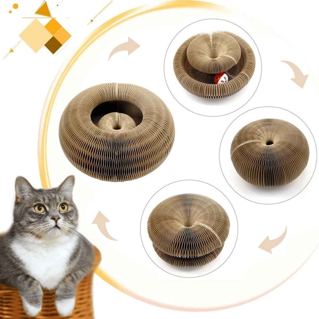 KittyLoop