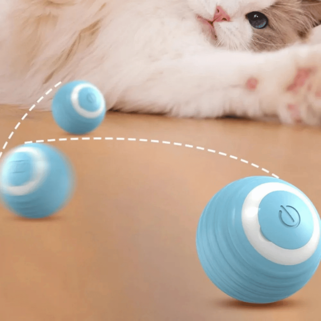 Smart Powerball
