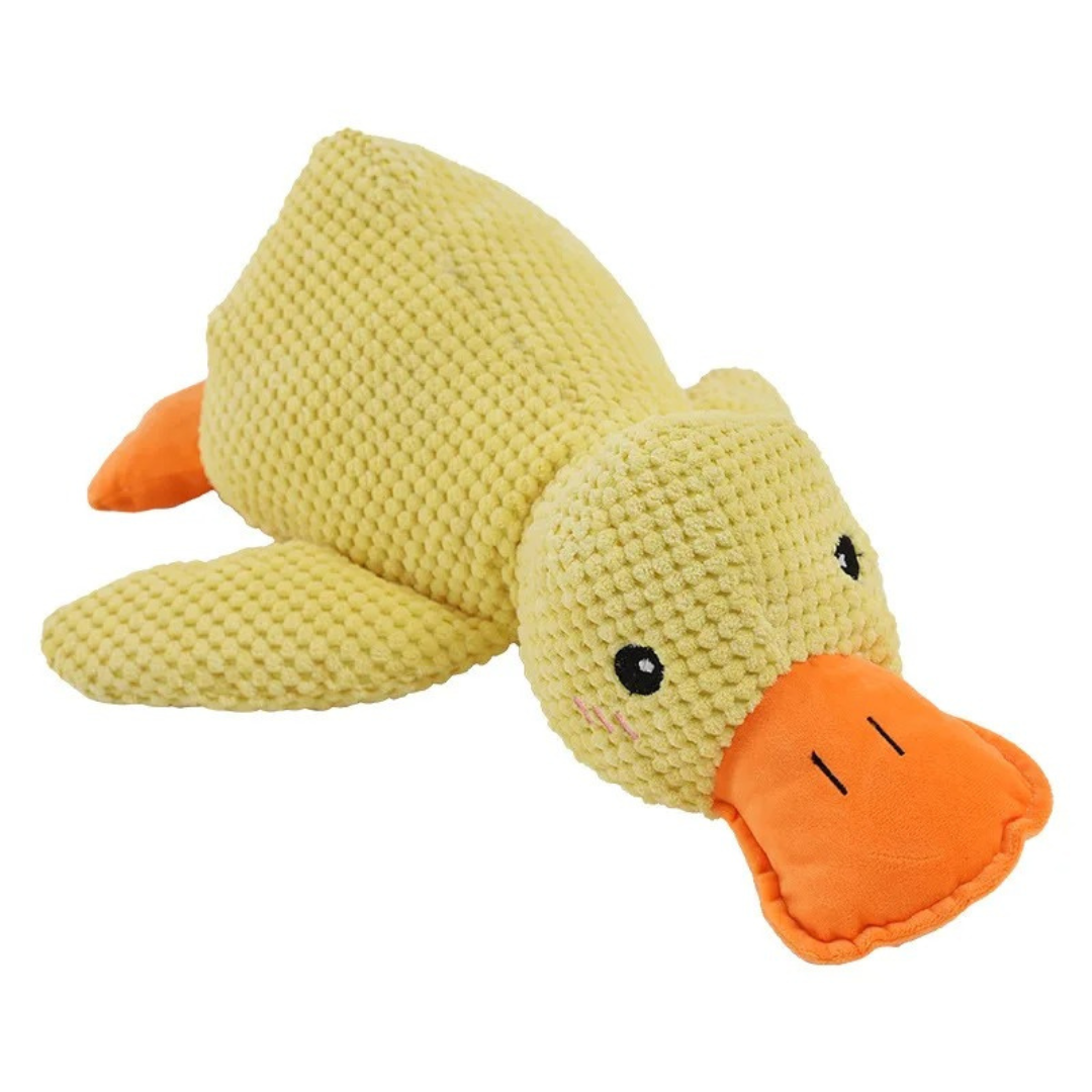 HappyQuack