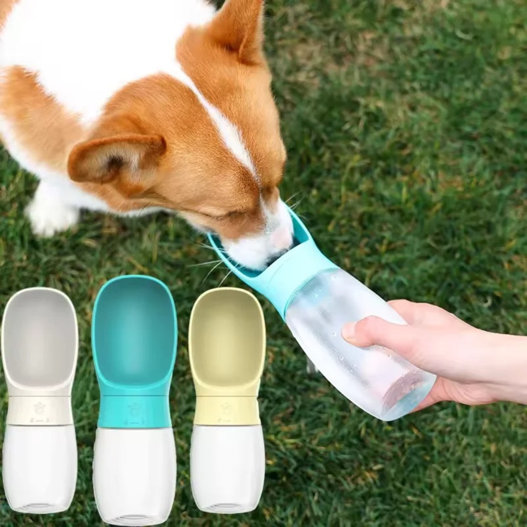 PawCup