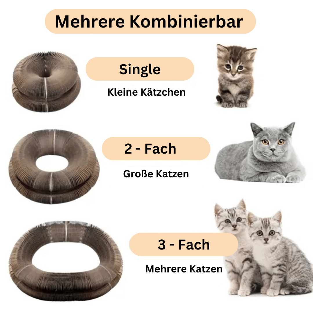 KittyLoop