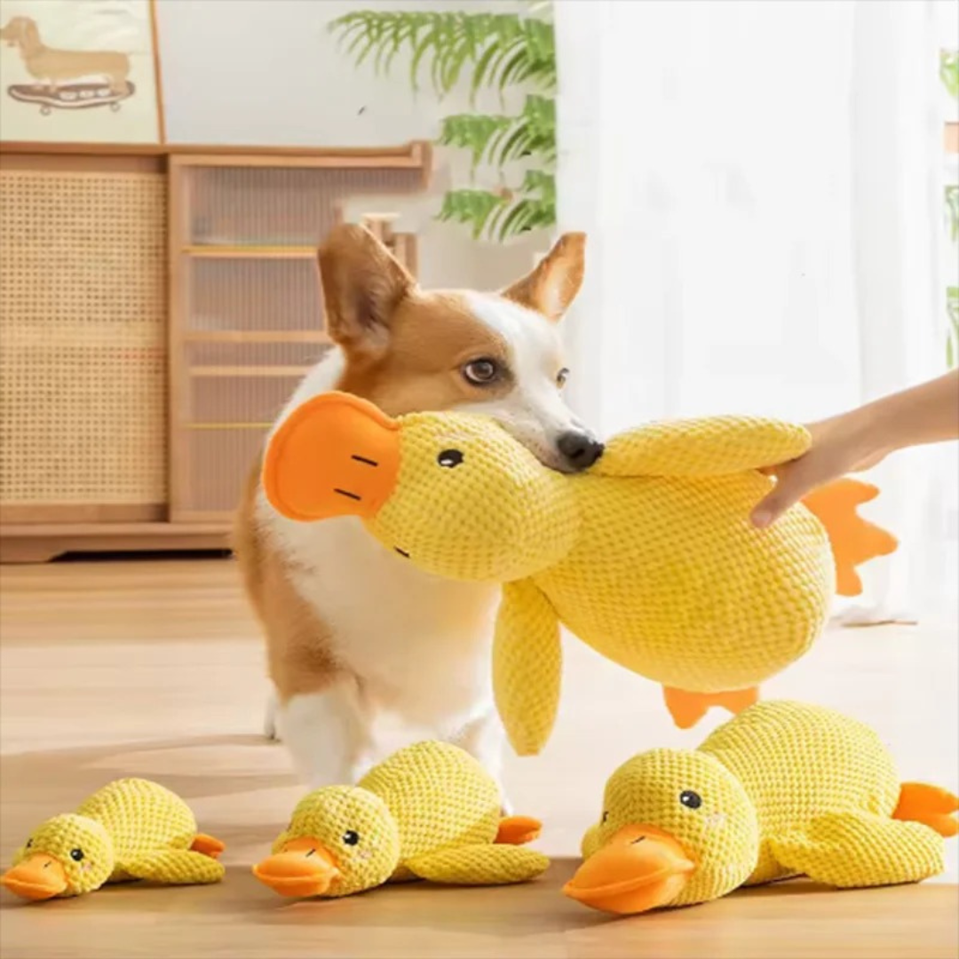 HappyQuack