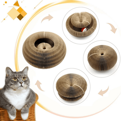 KittyLoop