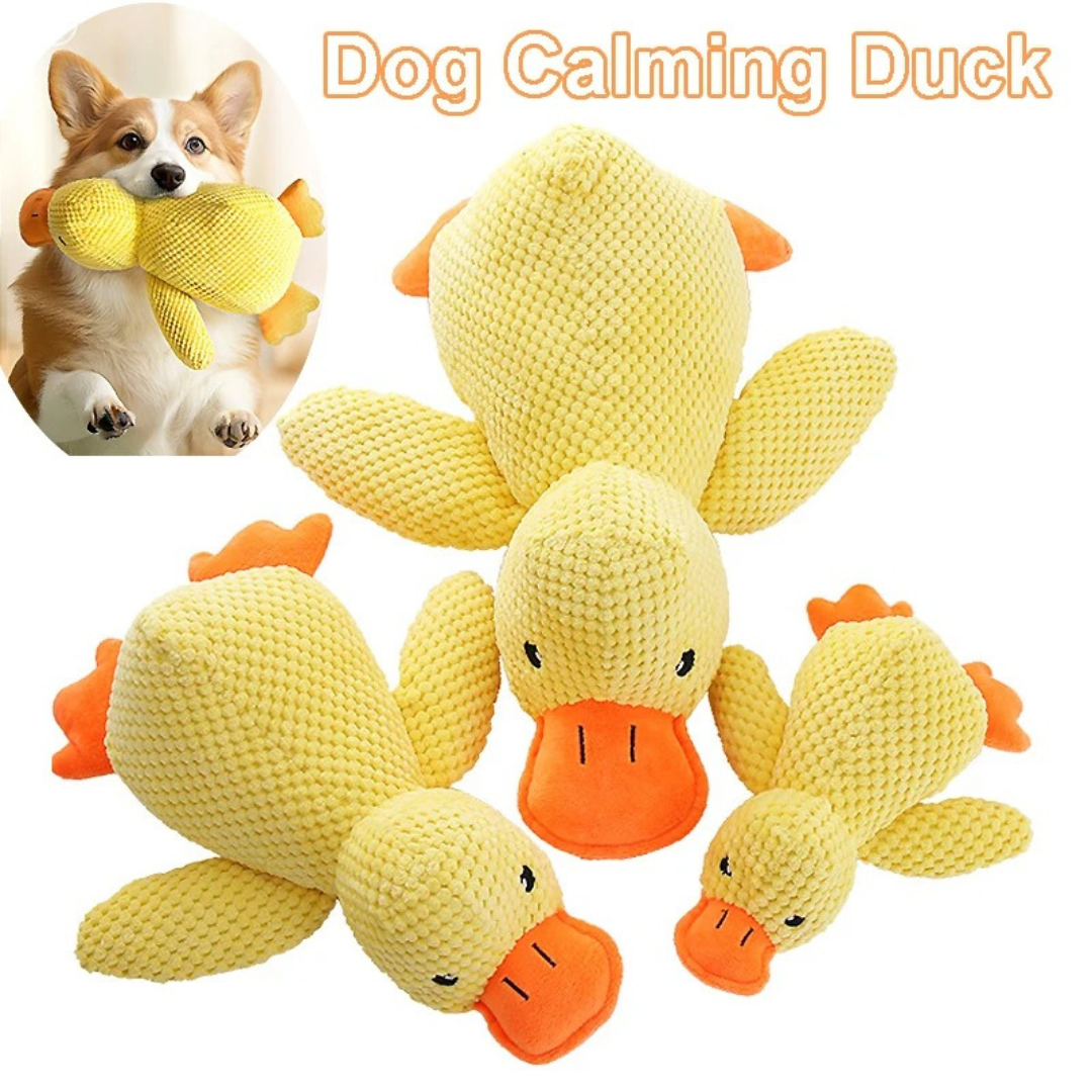 HappyQuack