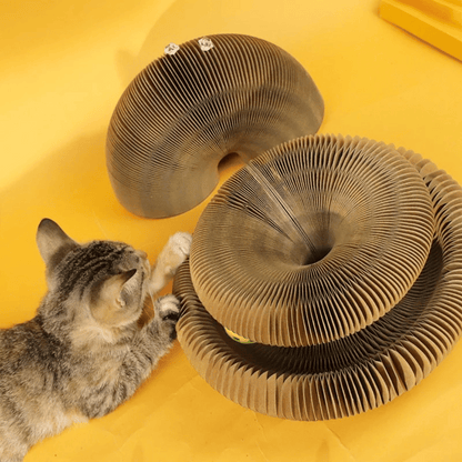 KittyLoop