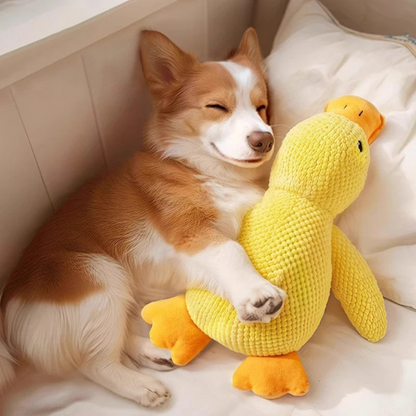HappyQuack