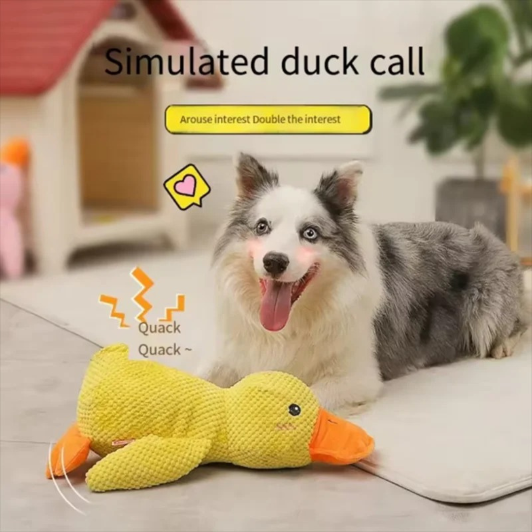 HappyQuack