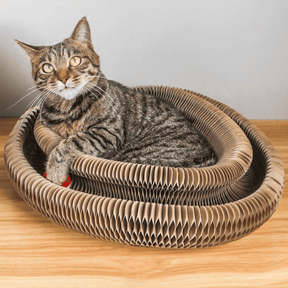 KittyLoop