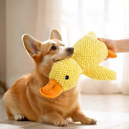 HappyQuack
