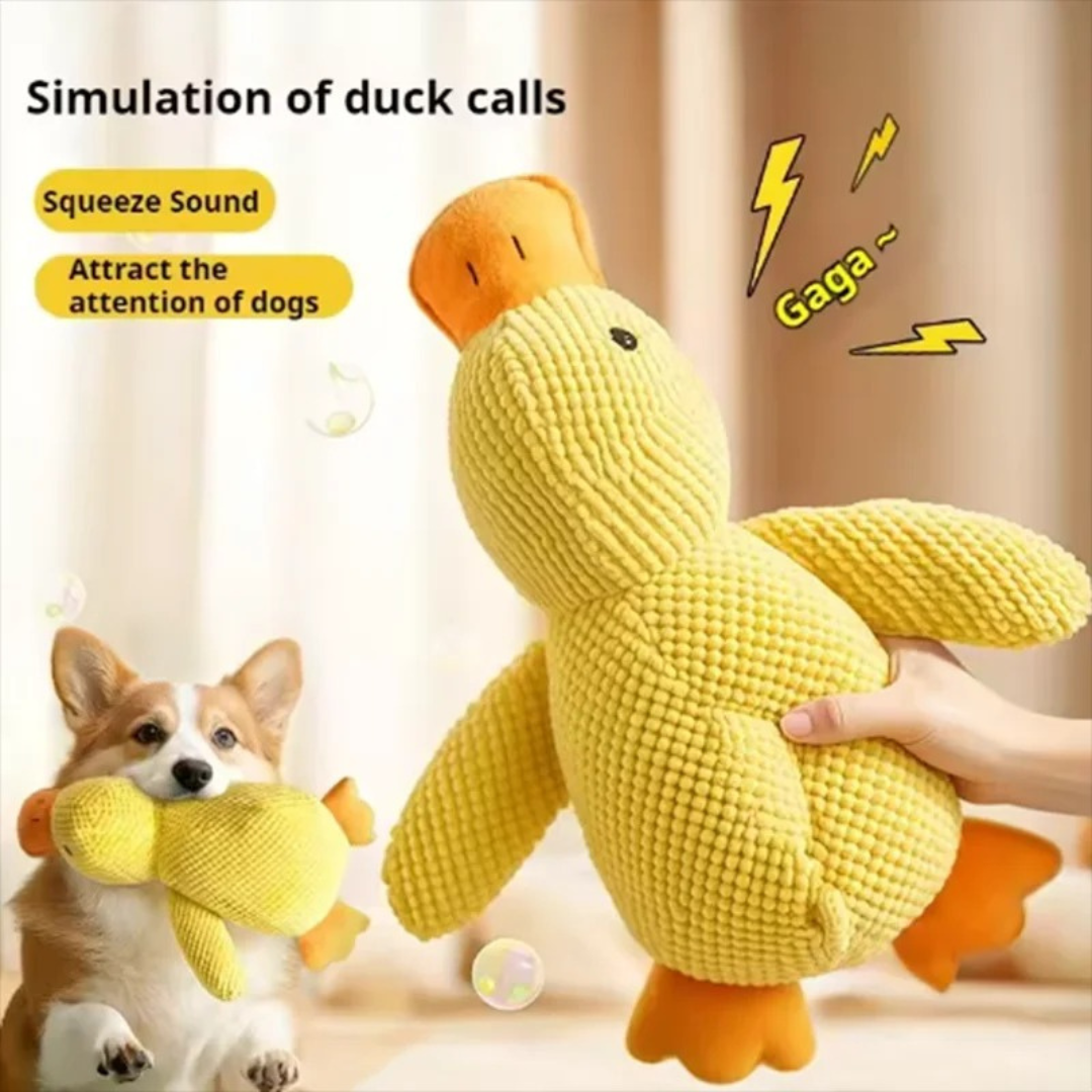 HappyQuack