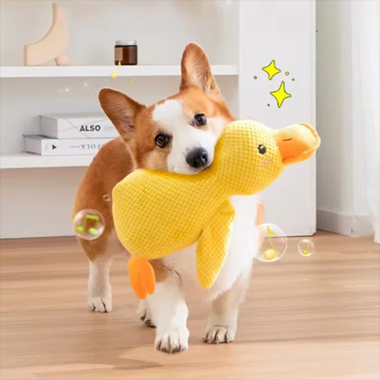 HappyQuack