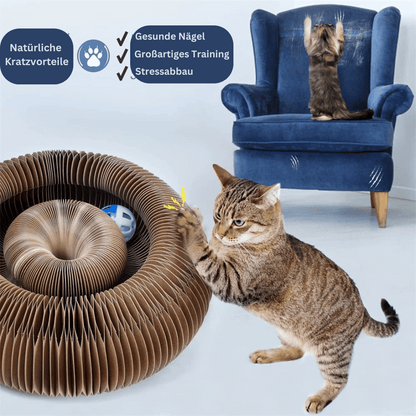 KittyLoop