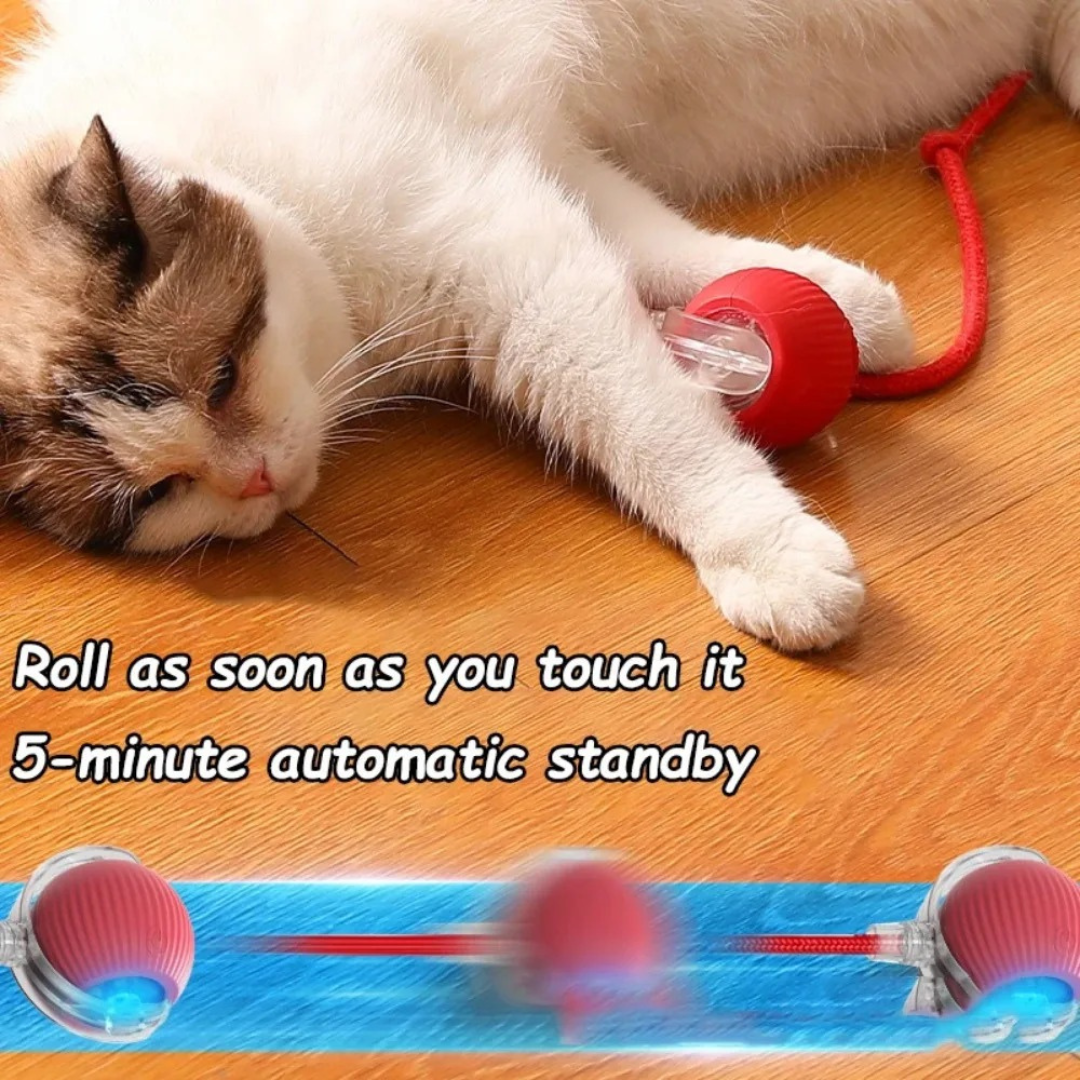 PawRoll